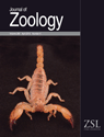 van der Meijden, A., A. Herrel and A. Summers (2010) Comparison of chela size and pincher force in scorpions; getting a first grip. J. Zool. 280: 319-325.